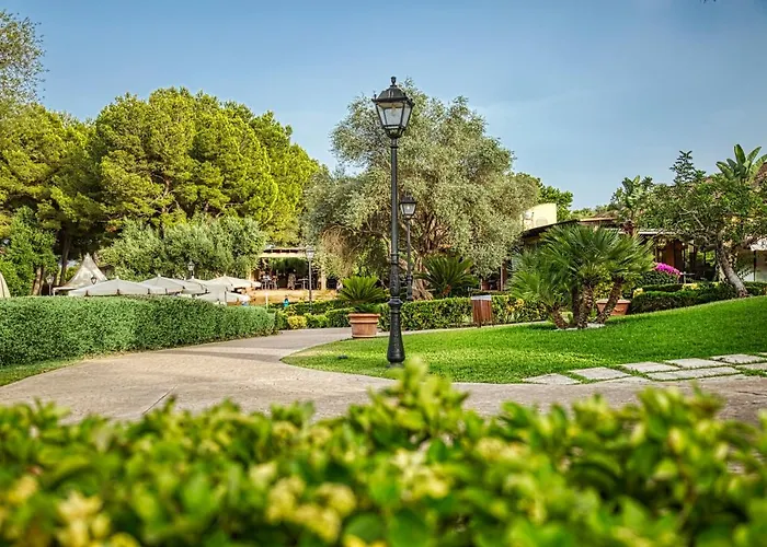 Vell Mari & Can Picafort (Mallorca)