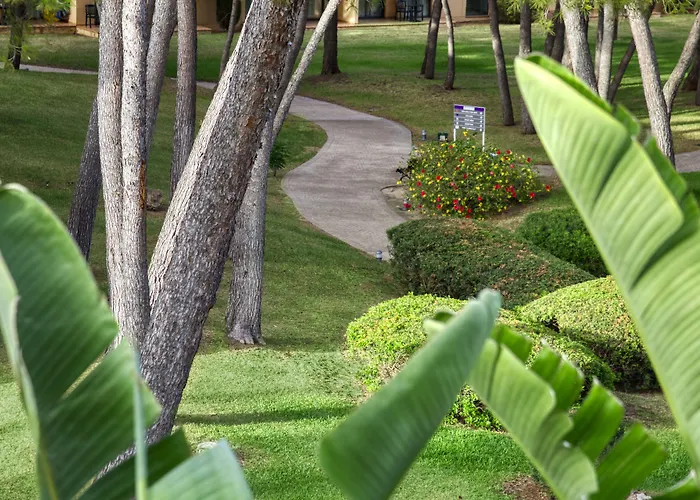 Lejlighedshotel Vell Mari & Can Picafort (Mallorca)